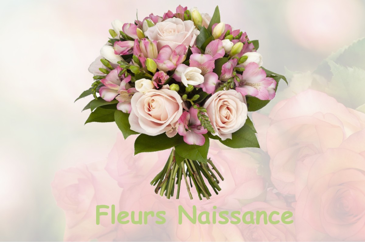 fleurs naissance AZANNES-ET-SOUMAZANNES