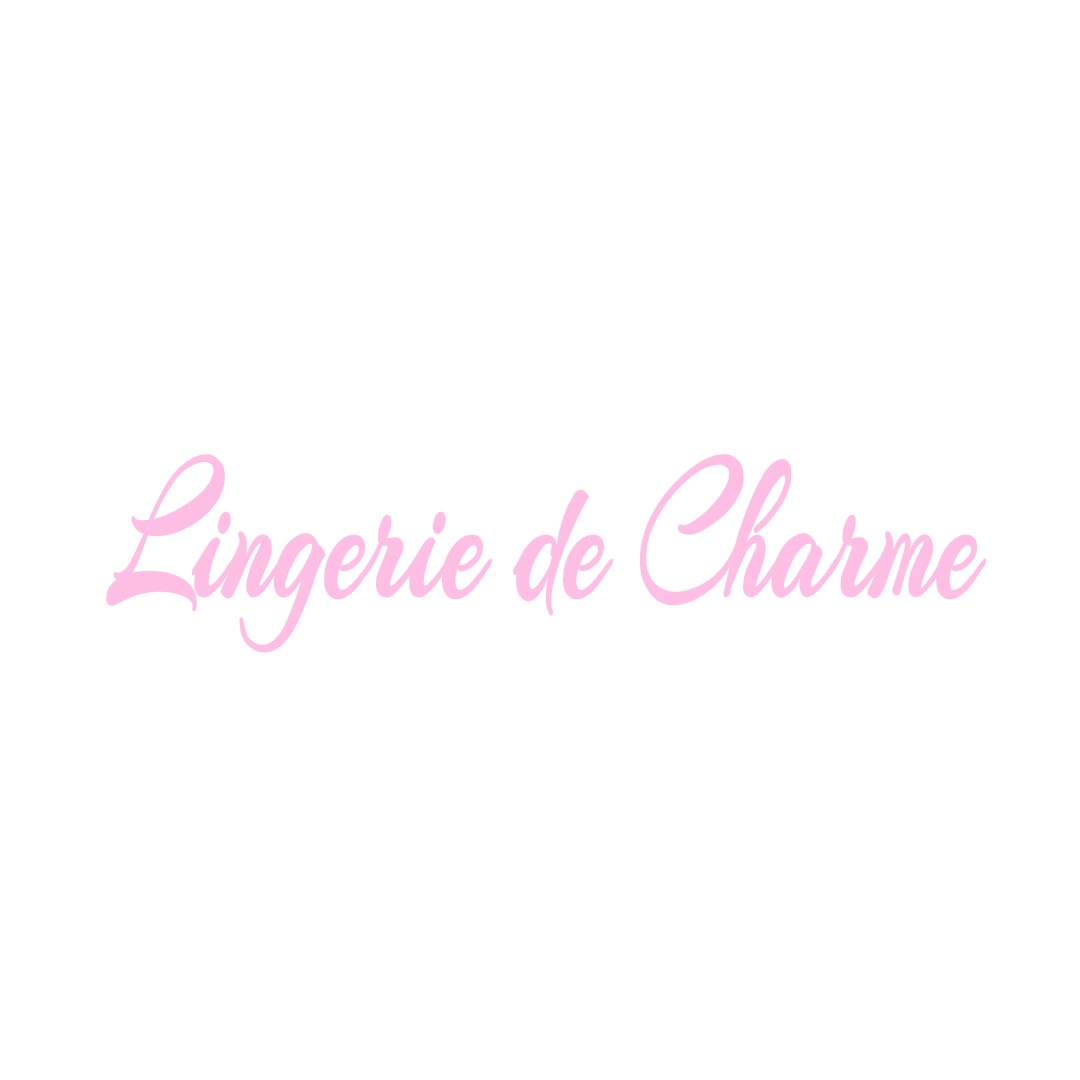 LINGERIE DE CHARME AZANNES-ET-SOUMAZANNES